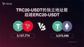 TRC20区块链浏览器查询USDT到账全指南：TRONSCAN、OKLink、TokenView实操步骤