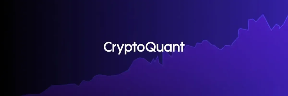 CryptoQuant 鏈上資料平台優勢與適用人群全解析