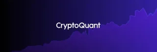 CryptoQuant 鏈上資料平台優勢與適用人群全解析