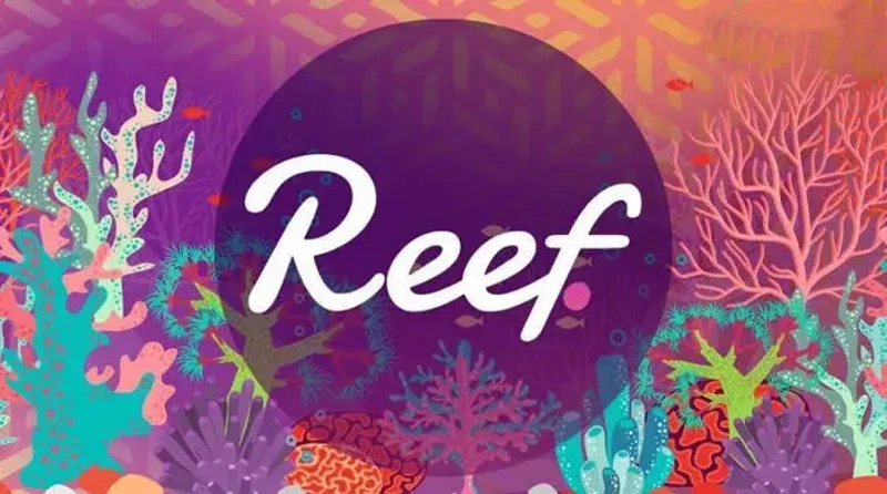 REEF币价格走势深度分析与2024-2026预测全解读