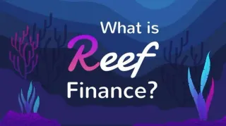 Reef Finance REEF代币发行量与跨链机制深度解析