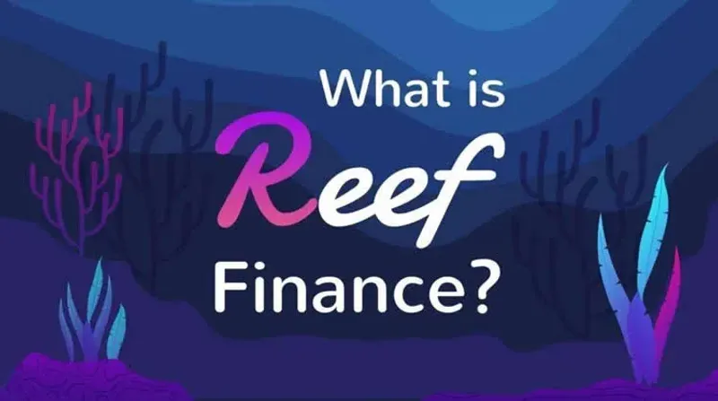Reef Finance REEF代币发行量与跨链机制深度解析