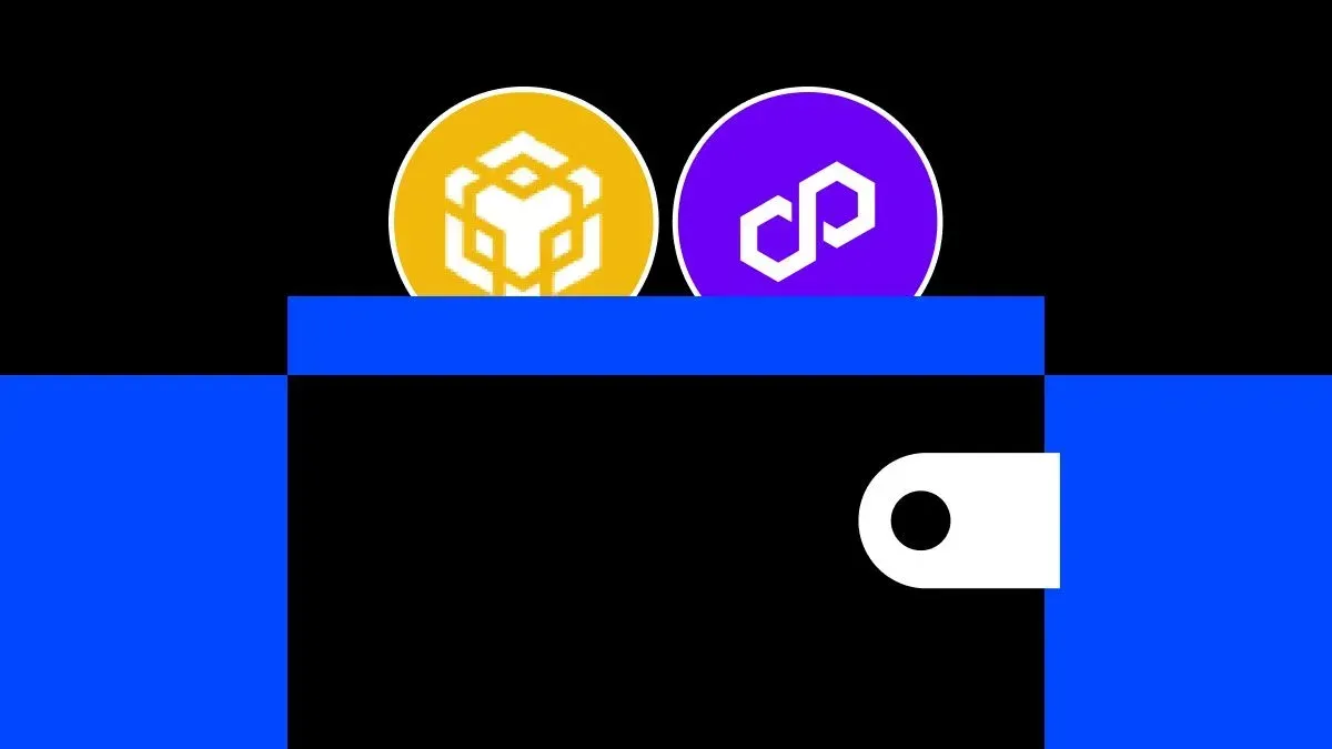 MetaMask 多鏈設定教學：連接 BNB、Polygon 及其他 EVM 網路完整指南