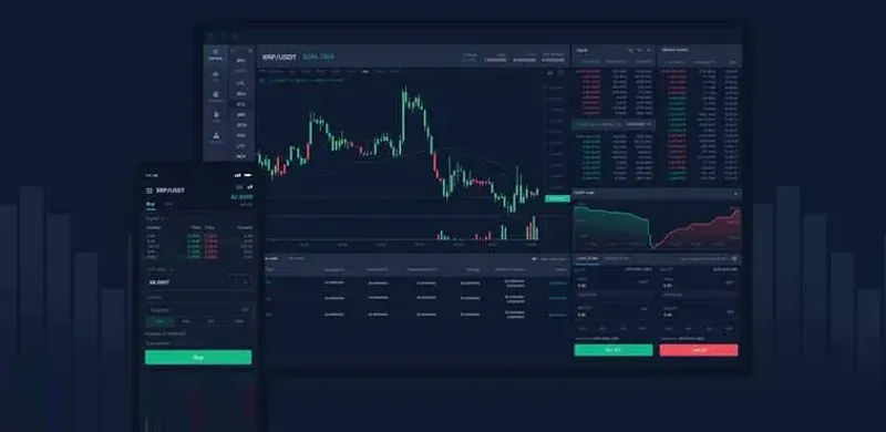 雪碧交易所評測：平台背景、營運模式與合規安全全解析