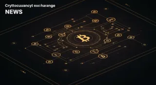 2024年第一季度交易所资金流向深度分析报告：比特币、以太坊、山寨币及DeFi代币的机构与散户资金进出趋势