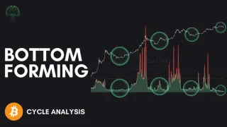 比特币熊市疲态显现：2024链上数据深度解析