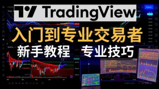 Tutorial TradingView 2024: De novato a profesional