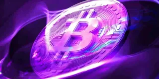 Cold wallets: cómo elegir la mejor cartera fría