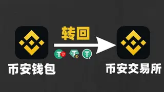 Binance Web3 Wallet 2024: Mover USDT BEP20, ERC20 y TRC20