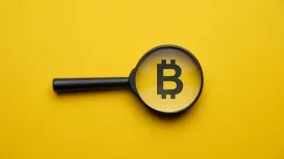 Bitcoin Bubble: Causes, Risks & Tulip Mania Parallel