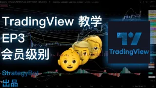 TradingView: Por que tantos planos? Guia 2024