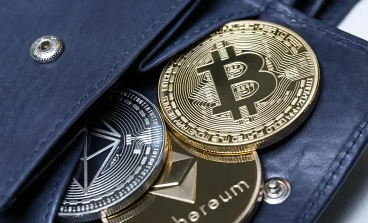 Carteira Criptográfica: Escolha e Proteja suas Criptomoedas