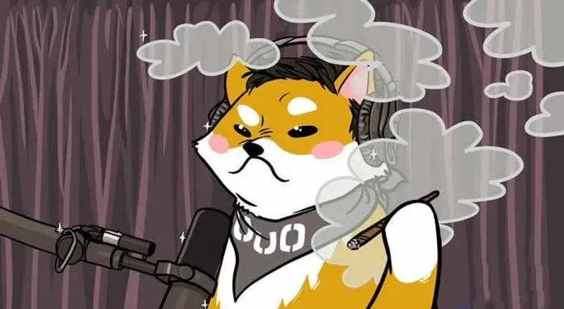 ELON币合约地址解析与马斯克关联全攻略