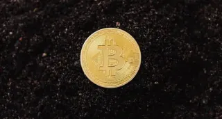 How to Play Bitcoin for Profit: Earn Money with Crypto