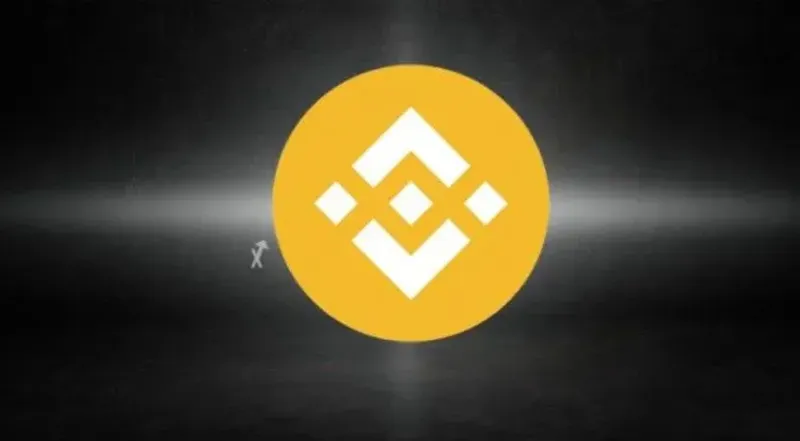 BNB 定投攻略：長期收益與風險管理全解析