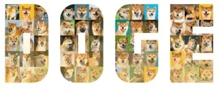 Dogecoin 2026‑2030: previsões de preço, riscos e estratégias
