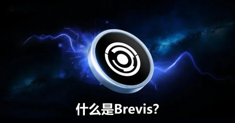 Brevis ZKP Powers Secure Cross‑Chain Data Sharing