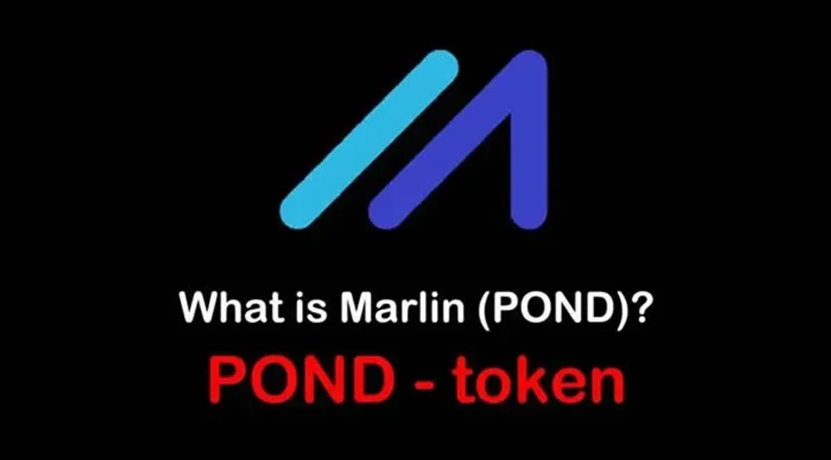 Moneda POND: qué es y su rol en el protocolo Marlin