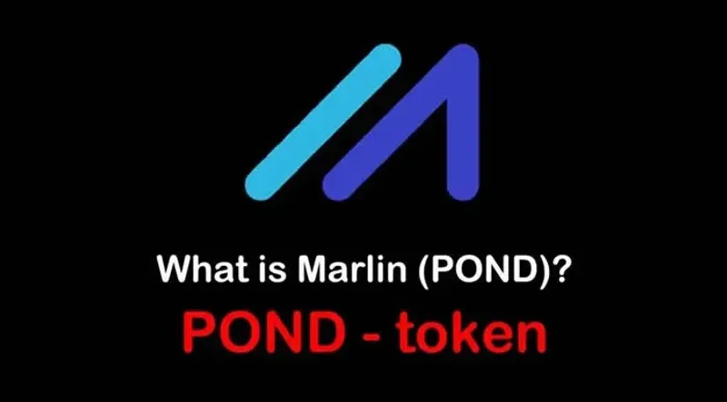 Moneda POND: qué es y su rol en el protocolo Marlin