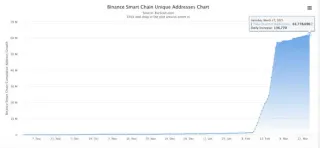 BSC（币安智能链）全景概述：DeFi、NFT 项目及钱包使用指南