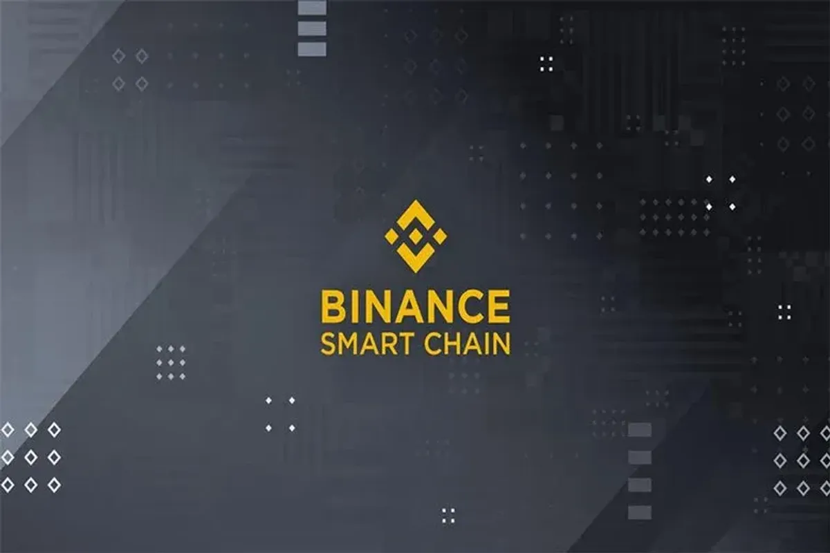 币安智能链 (BSC) 与 BNB Chain 完全解析：EVM 兼容、销毁机制与入金注意
