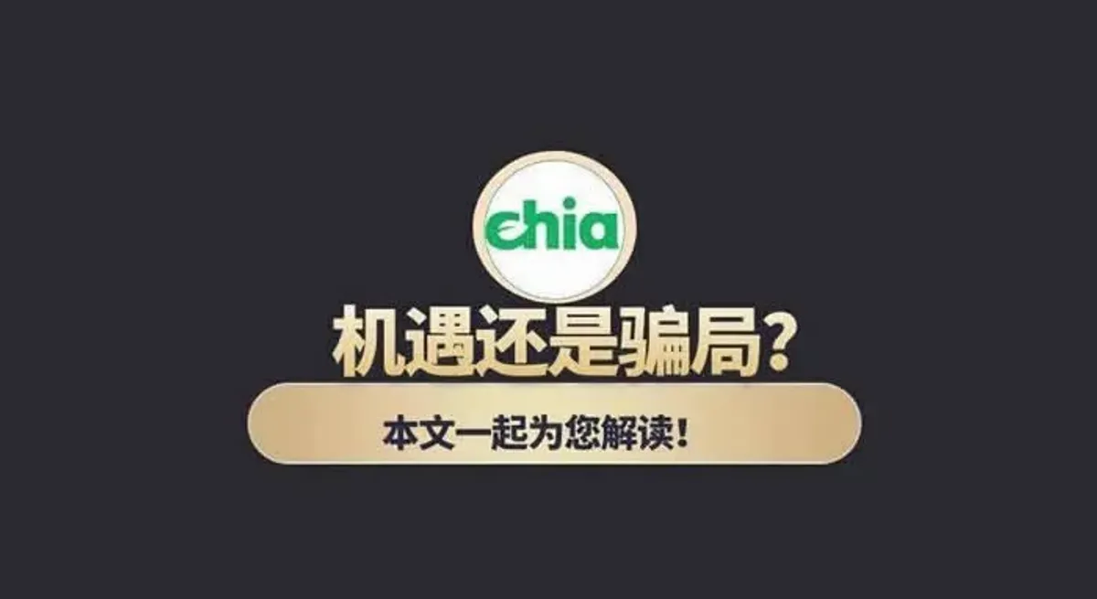 Chia: mineração, oportunidade ou golpe?