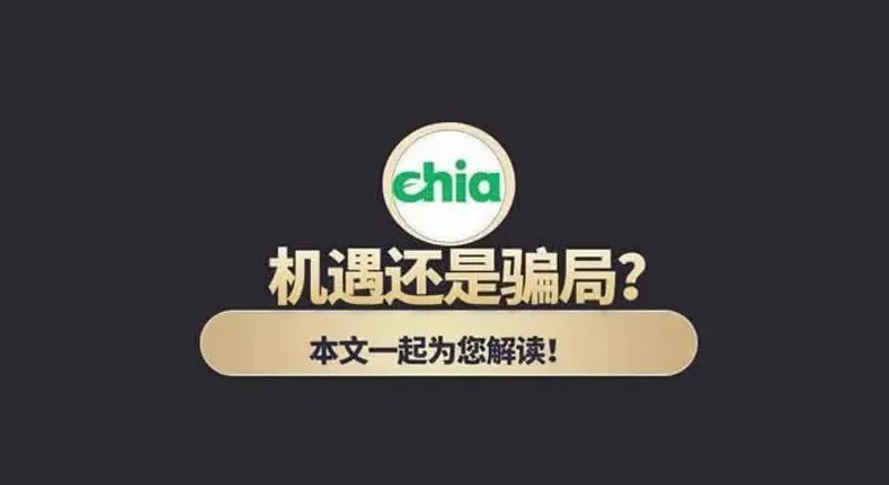 Chia: ¿Estafa o Oportunidad de Minería? Análisis y Opiniones