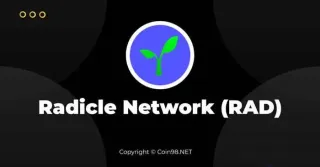 RAD代币深度解析：技术底层、治理机制与价值前景