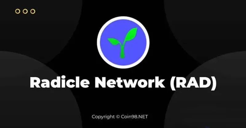 深入解析 RAD 代幣技術與治理機制：投資與風險全攻略
