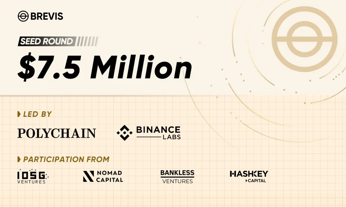 Brevis: plataforma de datos blockchain con pruebas de conocimiento cero