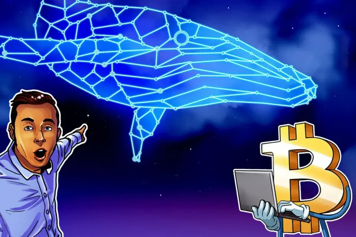 比特币巨鲸抄底4万枚BTC 引领价格反弹至7万美元