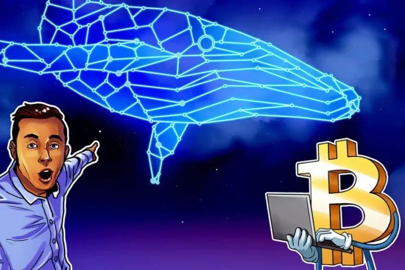 比特幣巨鯨抄底4萬枚BTC 推動價格反彈至7萬美元