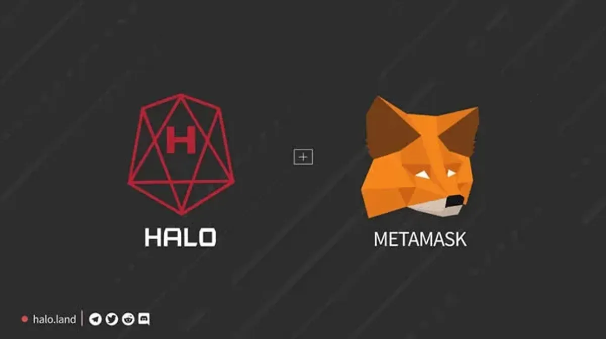 MetaMask 小狐狸錢包設定 HALO 主網教學：一步步圖文操作指南
