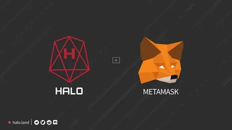 MetaMask 小狐狸錢包設定 HALO 主網教學：一步步圖文操作指南