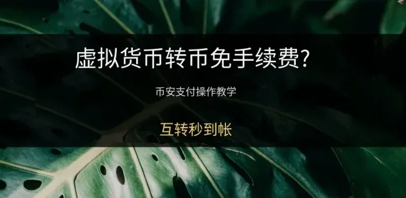 Binance Pay免手续费秒到账完整教程：账户间转币操作指南