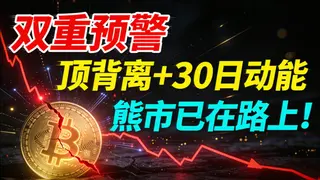加密预警：30日动能顶背离揭示2024熊市来临信号