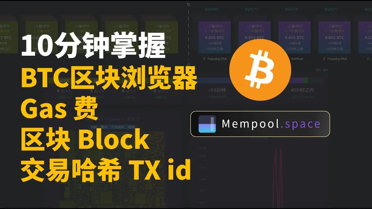 2024最新比特币区块浏览器 mempool.space 快速入门教程全解析