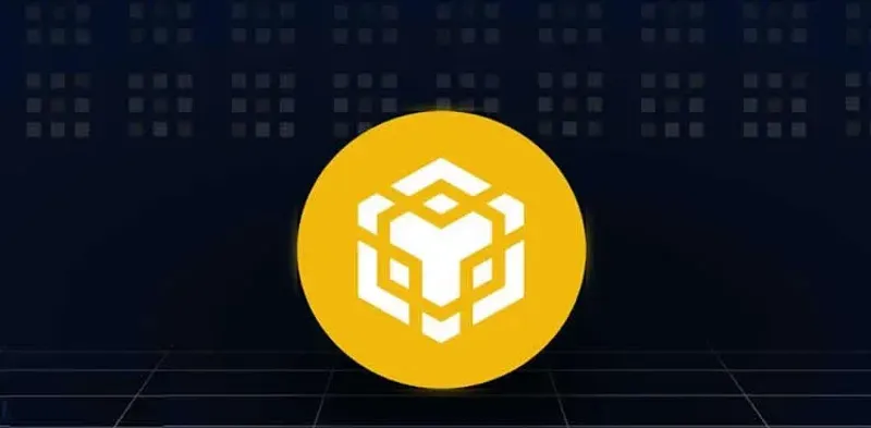 BNB 成長軌跡與漲幅解析：1759.93 倍驚人回報