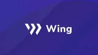 WING token: Plataforma DeFi multicanal en Ontology y OKExChain