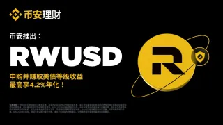 Como usar RWUSD para alavancagem em contratos Binance