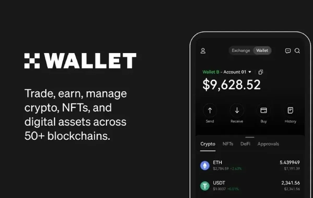 Como Resolver Taxa Insuficiente no OKPay Wallet