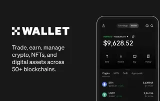 Cómo resolver la comisión insuficiente en la billetera OKPay