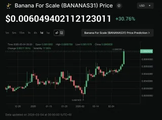 BANANAS31 代幣經濟模型與 DAO 風險全解析