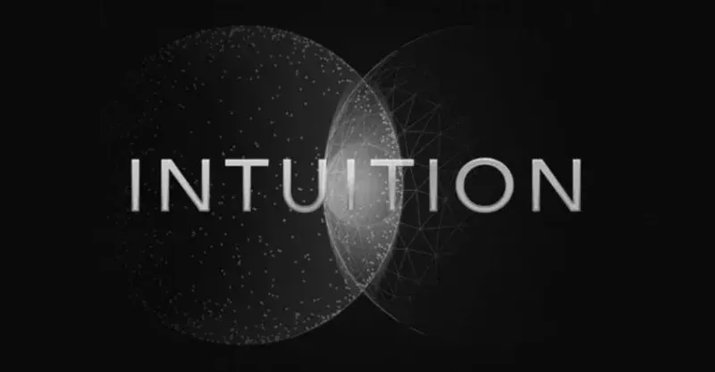Intuition: blockchain para la finanza de la información