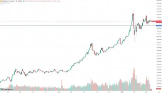 2026年黃金市場關鍵驅動因素與金價突破5,000美元分析