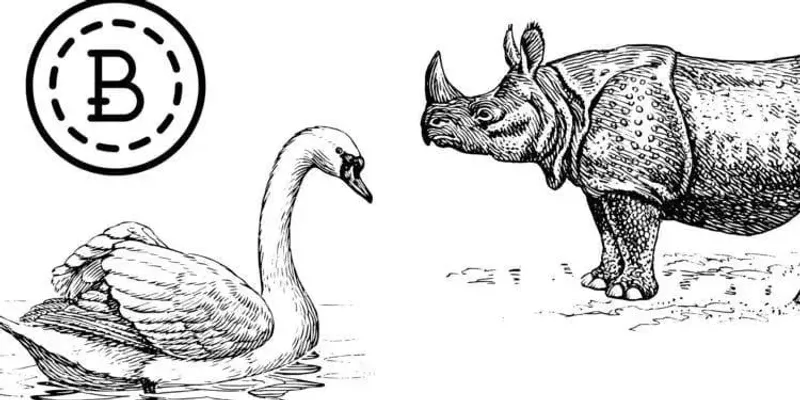 黑天鵝與灰犀牛解析：加密貨幣風險預警與防範策略