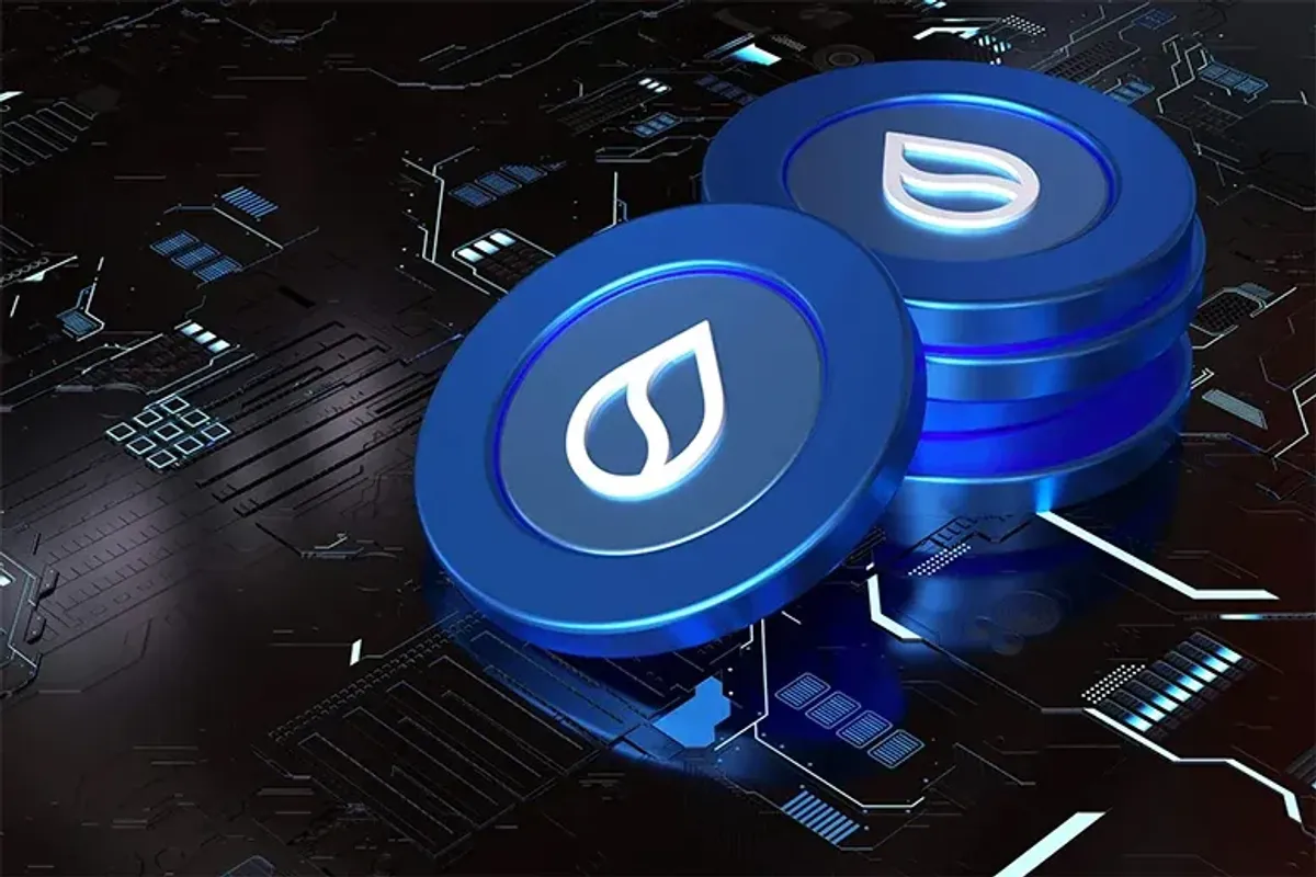 Comparação das 4 DEX de Contratos Perpétuos na Rede Sui