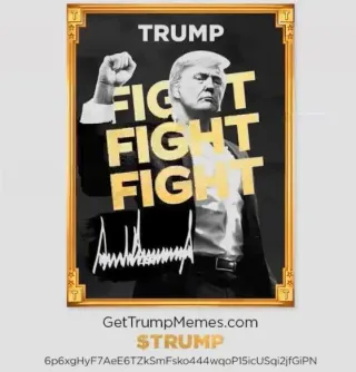 Moeda Trump ainda vale a pena? Análise de investimento 2024