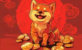 Bonk Token 2024: Solana Meme Crypto Hits $2.7B Market Cap