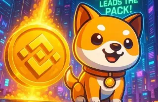 Binance Web: Acesso, Negociação e Recursos no Brasil
